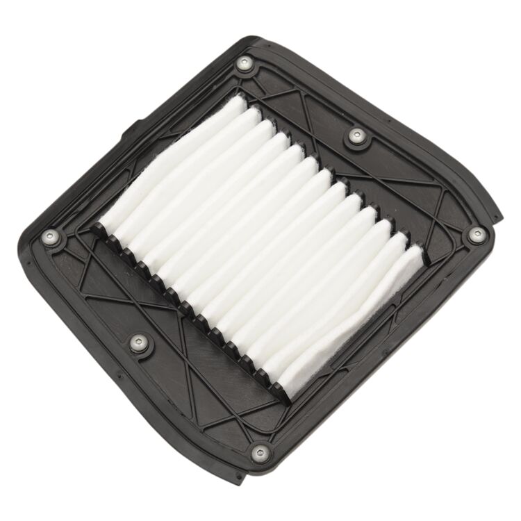 drag_specialties_filter_air_indian7082024_750x750